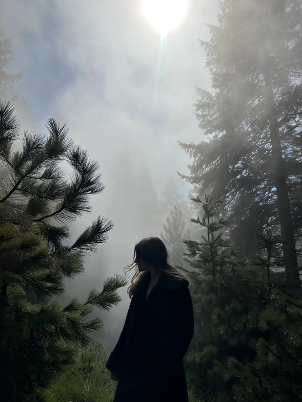 A solitary woman clad in a thick black wool coat stands quietly beneath towering pine trees, their dark trunks stretching upwards and half-dissolving into the thick swirls of silvery fog that clings and drifts like whispered breath. Her coat’s fibers shimmer damply as loose strands of hair slip free over her collarbone, touched by the chill in the air. She faces away, shoulders slightly hunched, her hands resting casually at her sides, as if lost in thought. The dim filtered light softens the evergreen needles into muted moss greens, while the pine needles underfoot glisten with dewdrops, blurring softly at the edges through the gentle grain of the iPhone’s sensor. The frame captures her from chest-level, with ample negative space of pale mist looming above, and a faint lens flare from a muted sun struggling to pierce the haze. Quiet except for the distant rustle of branches, the moment hangs suspended, cinematic and still—mistbound reverie, shot on iPhone