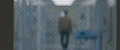 input image of the sample