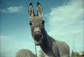 Loading the media file...