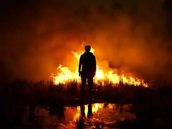 Loading the media file...