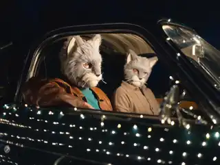 Loading the media file...