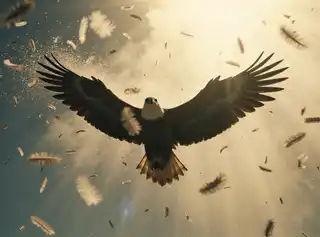 Loading the media file...