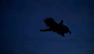 Loading the media file...