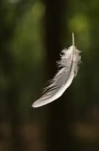 Loading the media file...