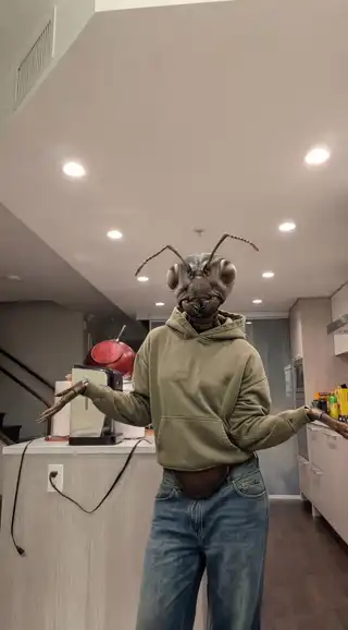 Loading the media file...