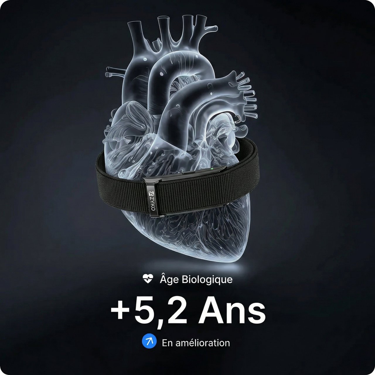 Analyse Cardiaque