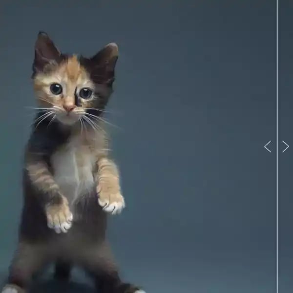 Loading the media file...