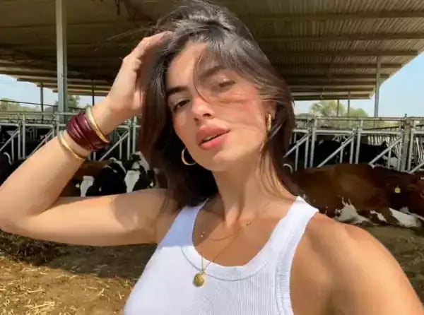 Loading the media file...