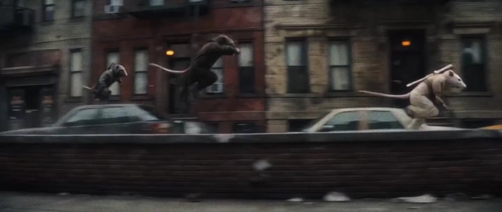 Loading the media file...