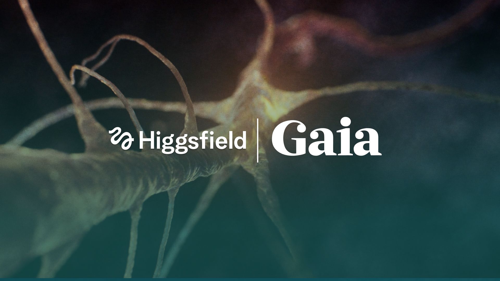 Gaia Cut Animation Time From Weeks to Hours with Higgsfield Enterprise