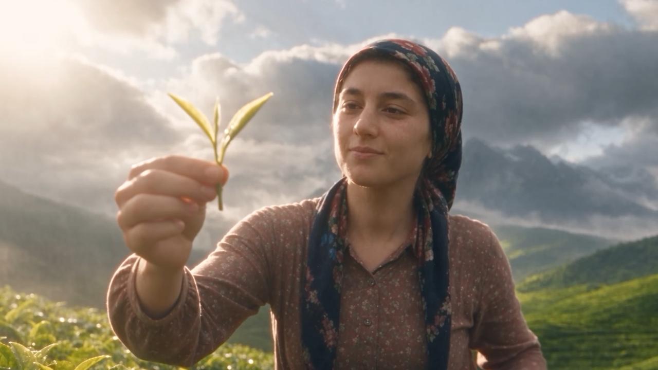 Caption: A tea-field scene from Big Purple / Dreaming Broccoli’s showreel.