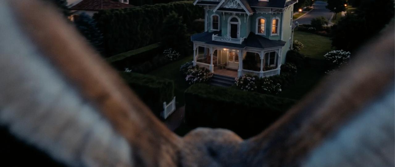 An owl approaches a period-style house in the second music video. Double Shots used Higgsfield for shots shaped by locations and perspectives that were difficult to capture within the physical production.