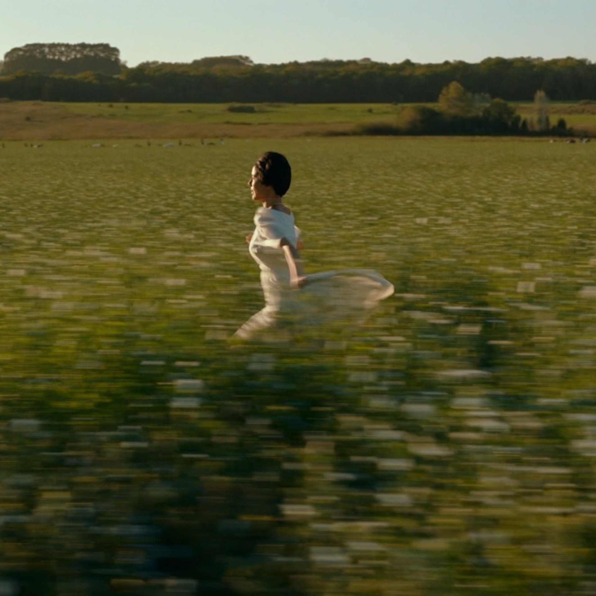 Cinema feature preview