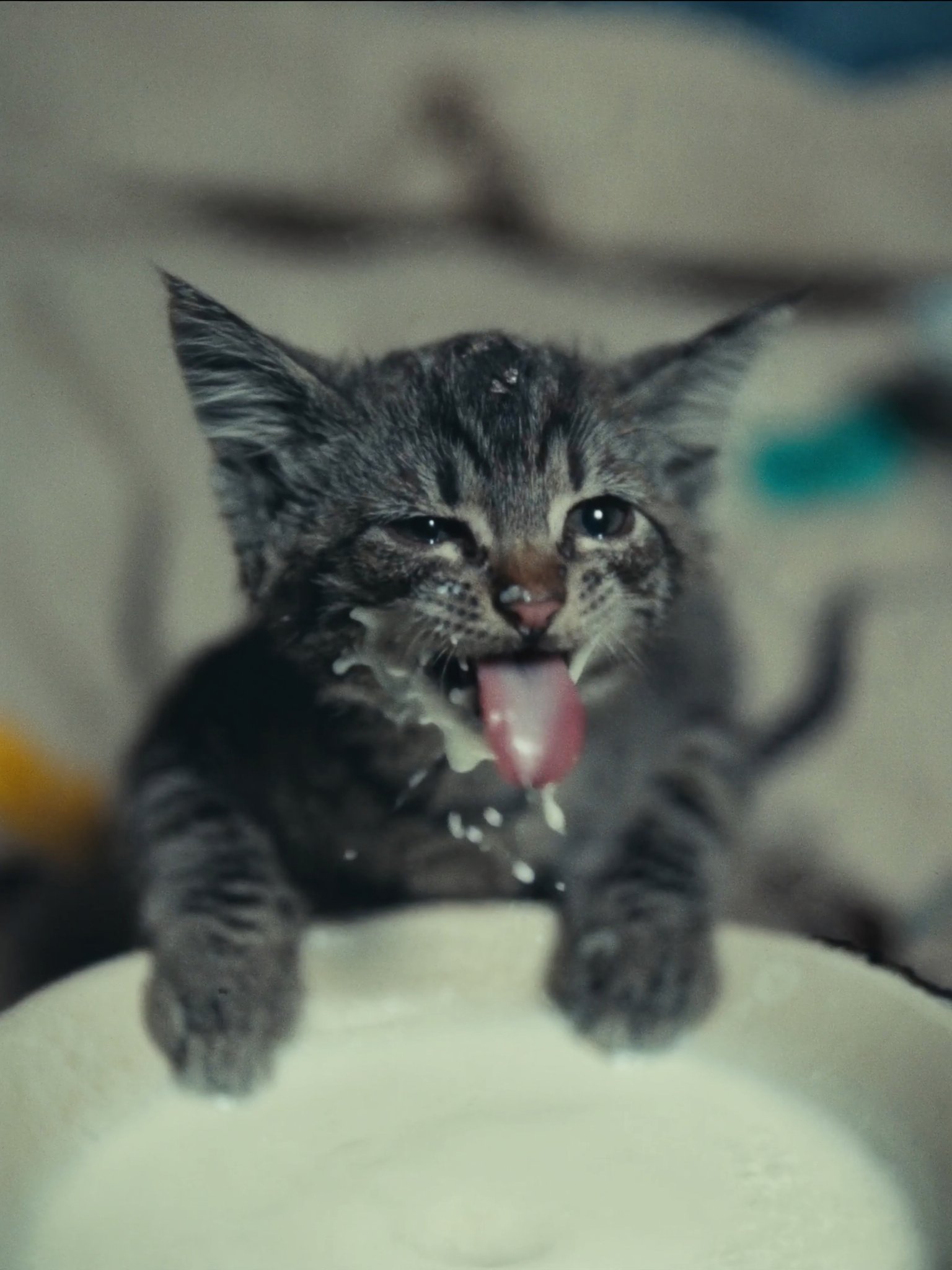 Interactive card background image