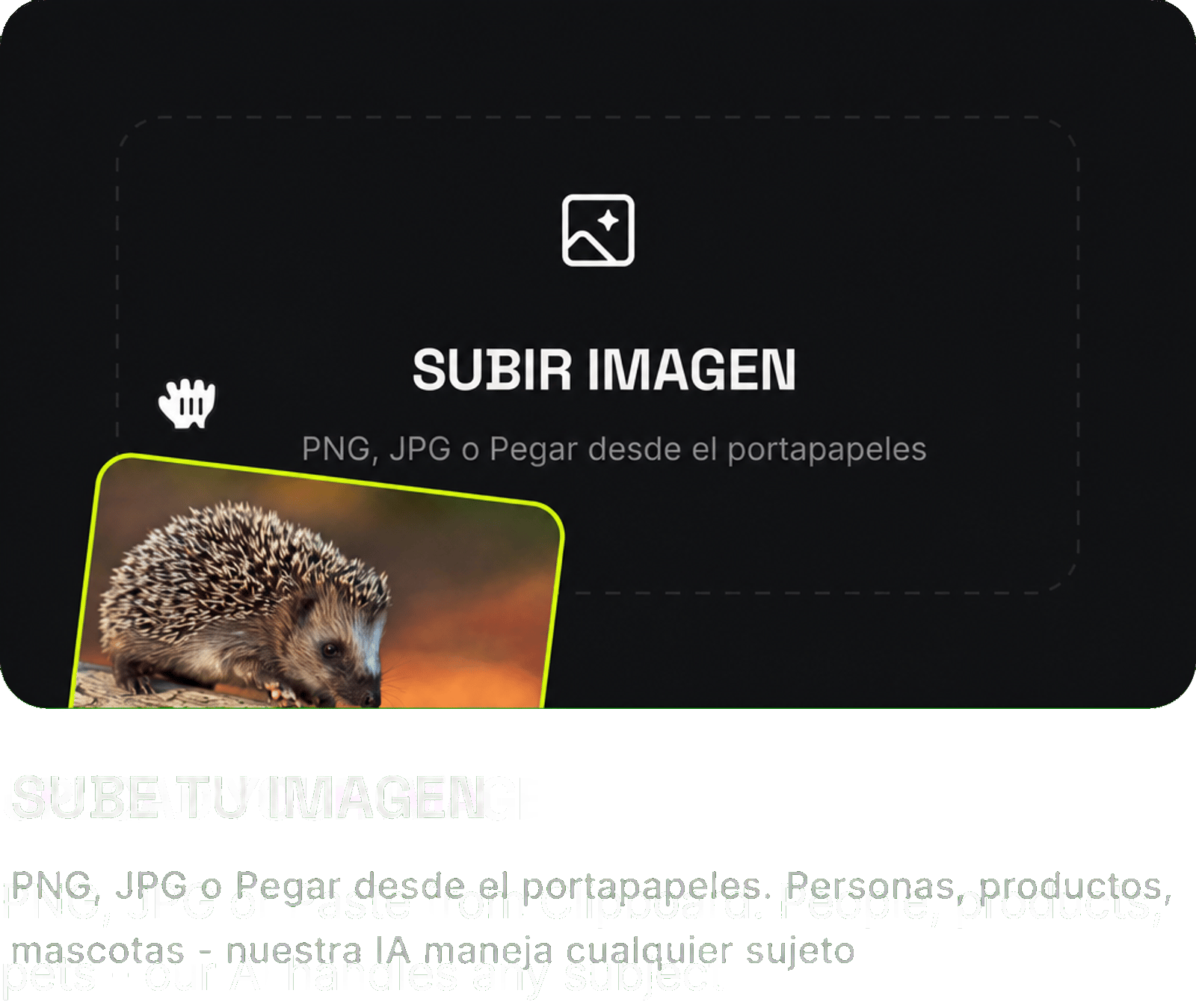 Sube tu imagen: PNG, JPG o pega desde el portapapeles. Personas, productos, mascotas: nuestra IA se encarga de cualquier sujeto