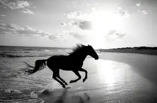 Loading the media file...