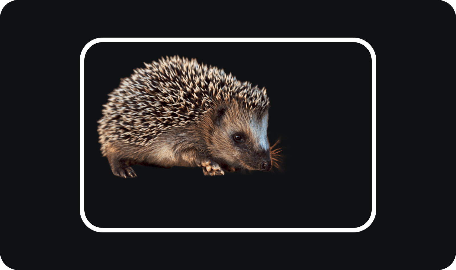 DOWNLOAD YOUR CUTOUT: Get a clean PNG with a transparent background - ready for compositing, ads, social posts, or your next Higgsfield creation