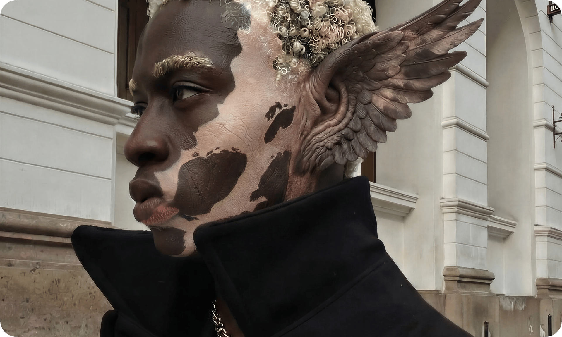 Cinema feature preview